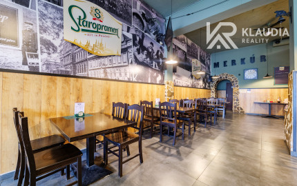 obchod a služby/reštaurácia a piváreň, ul.Nemcovej 28,Merkúr