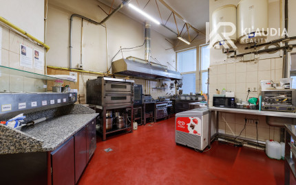 obchod a služby/reštaurácia a piváreň, ul.Nemcovej 28,Merkúr