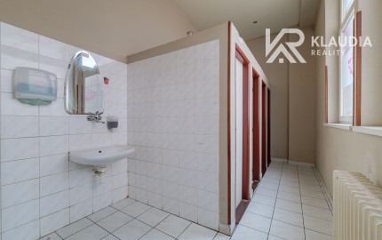 obchod a služby/reštaurácia a piváreň, ul.Nemcovej 28,Merkúr