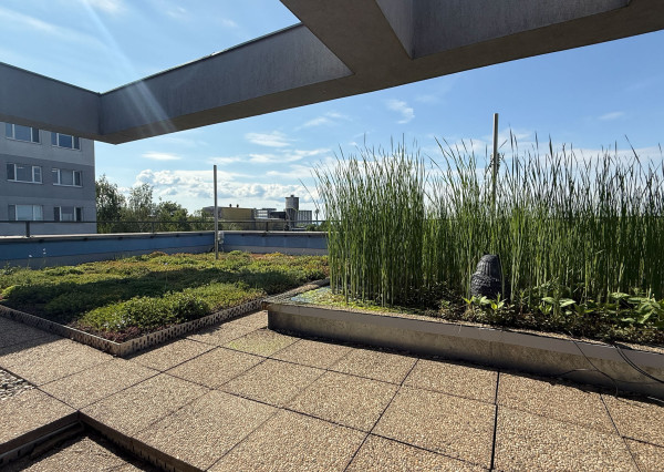 Kancelárie na prenájom pre projektantov v Košiciach