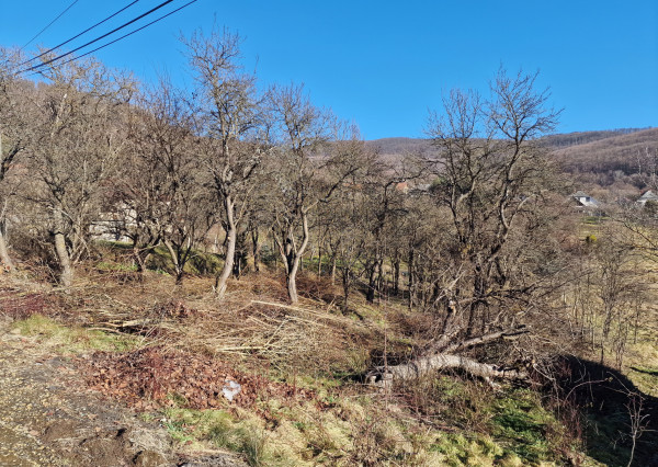 2 domy s 6,2ár.pozemkom, obec Hollóháza, Maďarsko